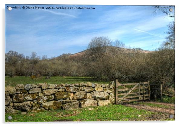 Widecombe- in-the- Moor, Dartmoor. Acrylic by Diana Mower