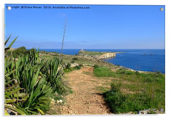 St Pauls Island Malta Acrylic by Diana Mower