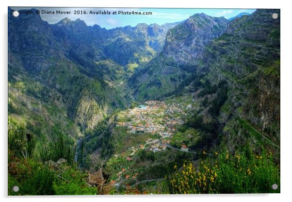 The Nuns Valley Madeira Acrylic by Diana Mower