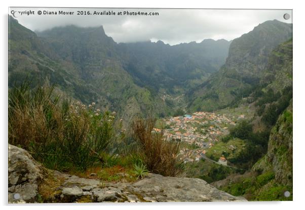 The Nuns Valley Madeira Acrylic by Diana Mower