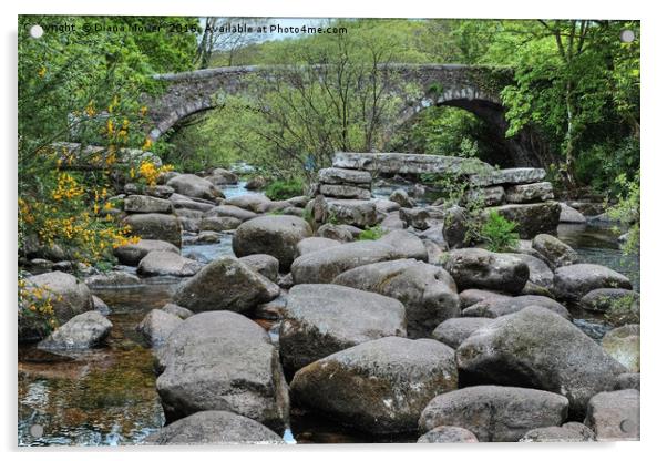 Dartmeet Devon Acrylic by Diana Mower