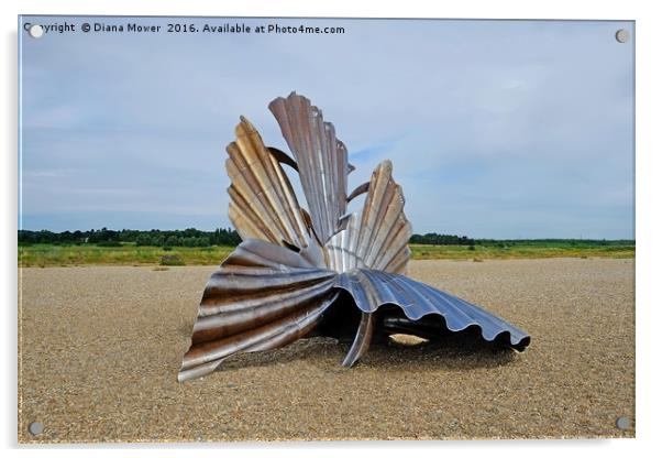 Aldeburgh Scallop Acrylic by Diana Mower
