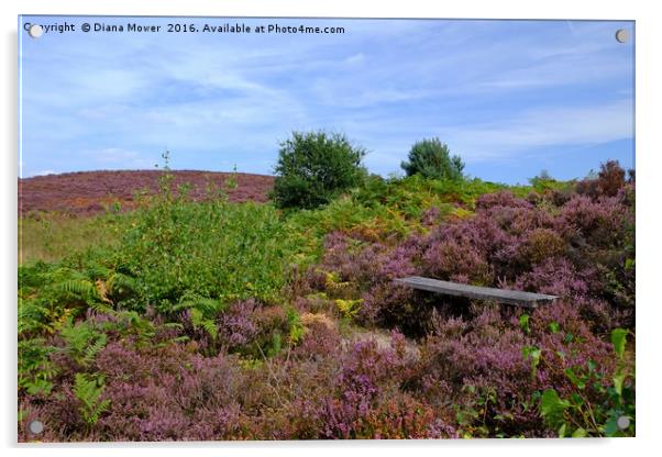 A Seat in the Heather Acrylic by Diana Mower