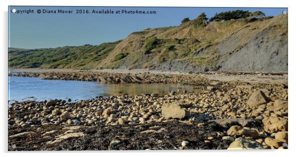 Osmington Mills beach Acrylic by Diana Mower