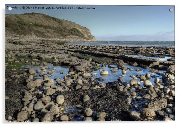 Osmington Mills Dorset Acrylic by Diana Mower