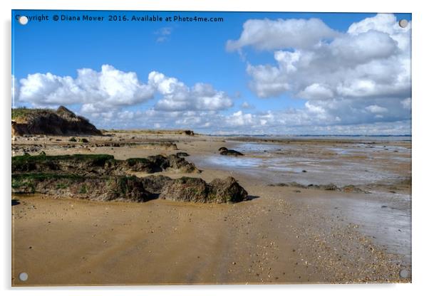 Walton on the Naze beach Acrylic by Diana Mower