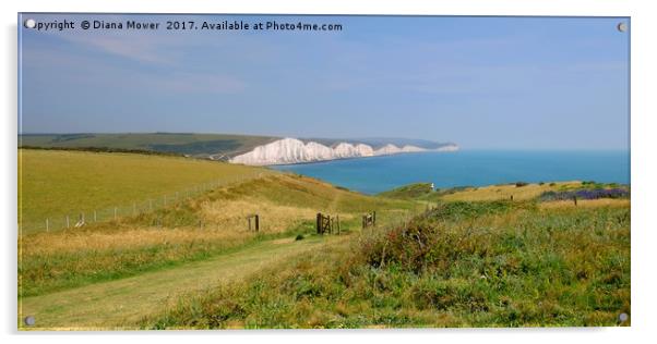 The Seven Sisters  Acrylic by Diana Mower