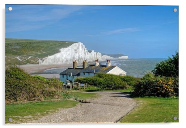 The Seven Sisters  Acrylic by Diana Mower