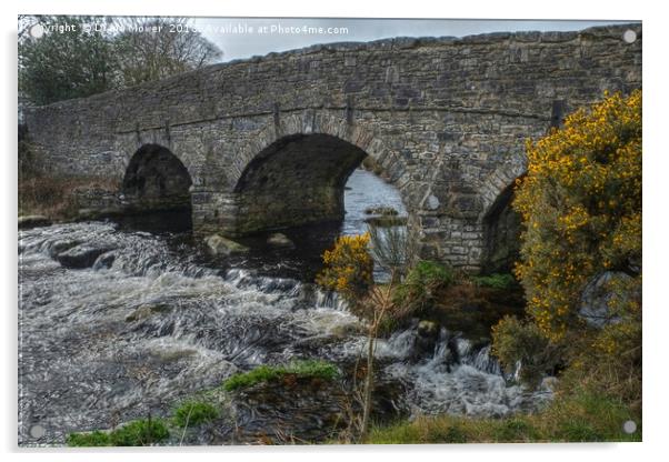 Postbridge, Dartmoor, Devon Acrylic by Diana Mower