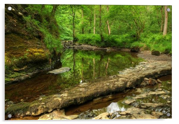 River Pyrddin Wales Acrylic by Diana Mower