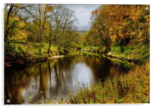  Autumnal  River Wharfe  Acrylic by Diana Mower