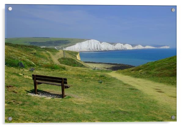 Seven Sisters View Acrylic by Diana Mower