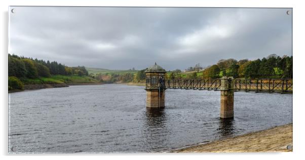 Lower Laithe Reservoir Yorkshire Acrylic by Diana Mower