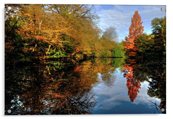 Danbury Lake Essex Acrylic by Diana Mower