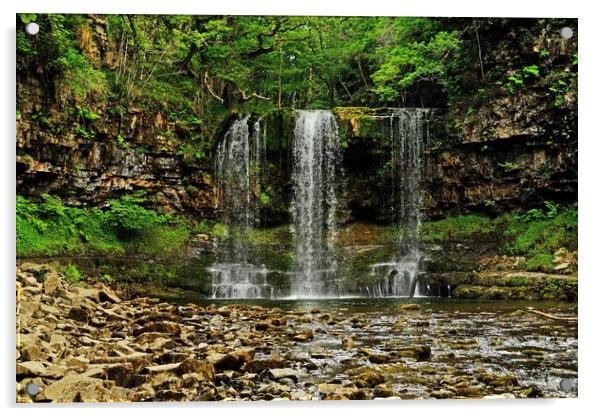 Sgwd yr Eira Waterfall Brecon Beacons Acrylic by Diana Mower