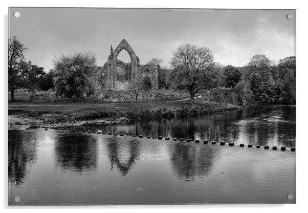Bolton Abbey Yorkshire Acrylic by Diana Mower