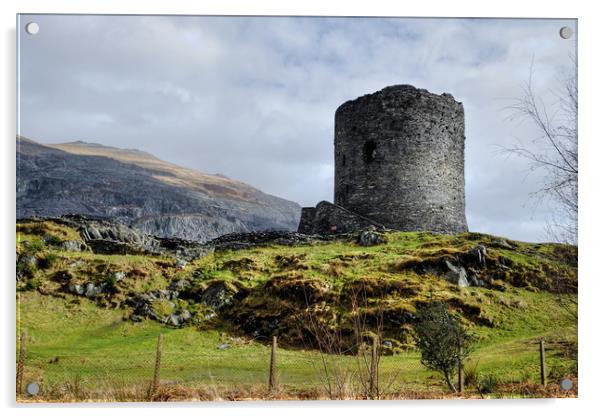 Dolbadarn Castle Acrylic by Diana Mower