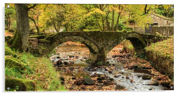 Wycoller Bridge in Bronte country  Acrylic by Diana Mower