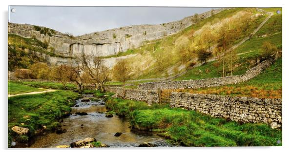  Approaching Malham Cove  Acrylic by Diana Mower
