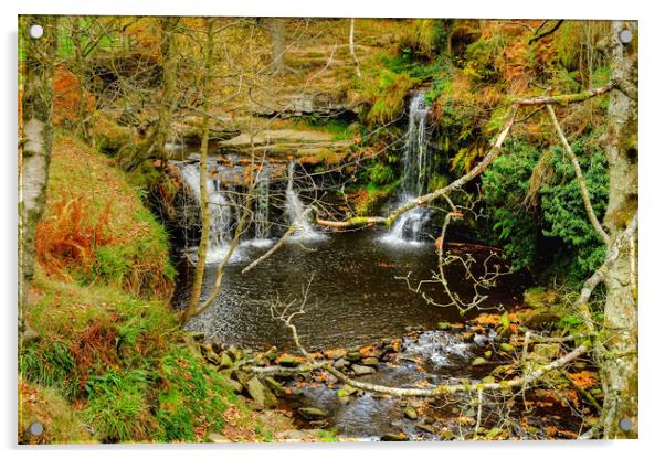 Lumb Falls  Acrylic by Diana Mower