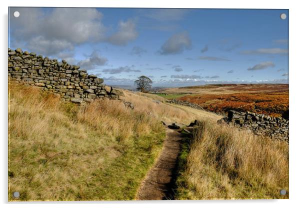 Haworth Moor footpath, Yorkshire Dales Acrylic by Diana Mower