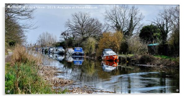 Heybridge Canal Essex Acrylic by Diana Mower