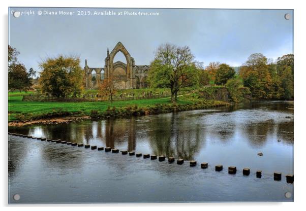 Bolton Abbey Wharfedale Acrylic by Diana Mower