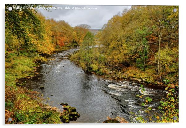 The River Wharfe Bolton Abbey Acrylic by Diana Mower