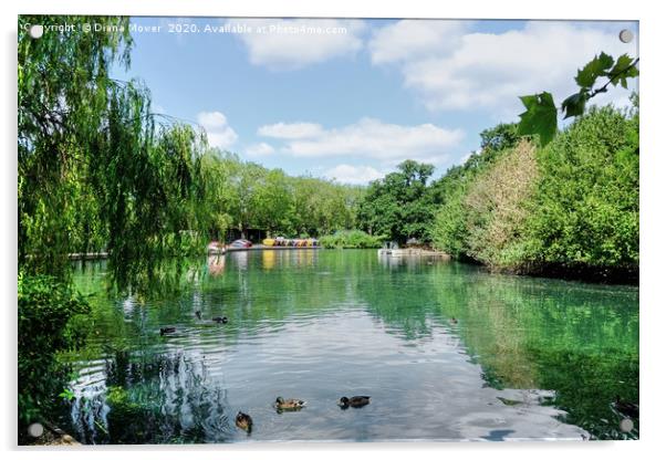 Finsbury Park Lake Acrylic by Diana Mower