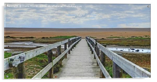 Chesil Beach Bridge Dorset Acrylic by Diana Mower