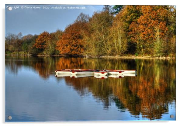 Hatfield Forest Autumn lake Acrylic by Diana Mower