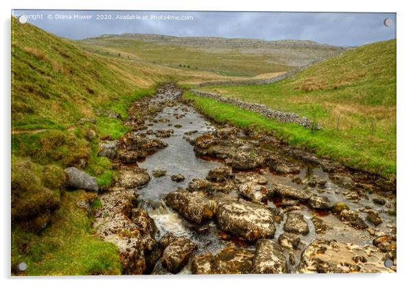 River Twiss Ingleton Yorkshire Acrylic by Diana Mower