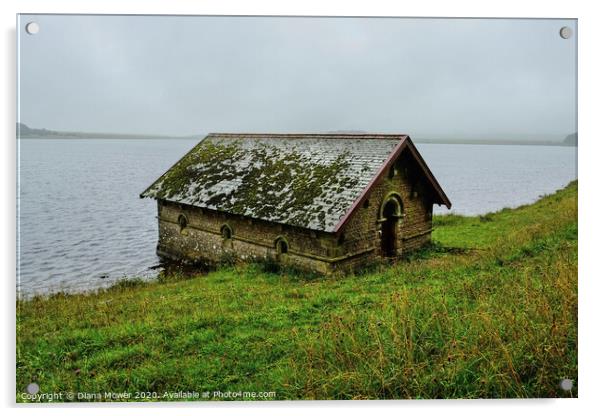 Malham Tarn Boathouse Acrylic by Diana Mower