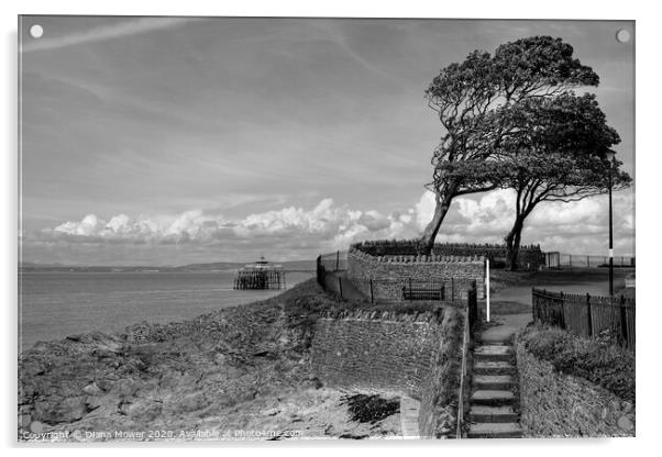 Clevedon Beach pier and Promenade steps Acrylic by Diana Mower