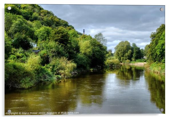 Ironbridge Gorge Shropshire Acrylic by Diana Mower