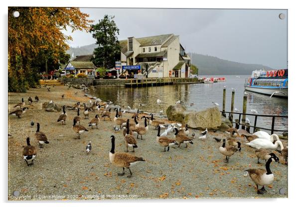 Windermere Geese Acrylic by Diana Mower