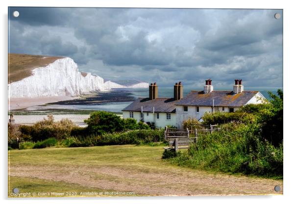 Seven Sisters and Cuckmere Haven  Acrylic by Diana Mower