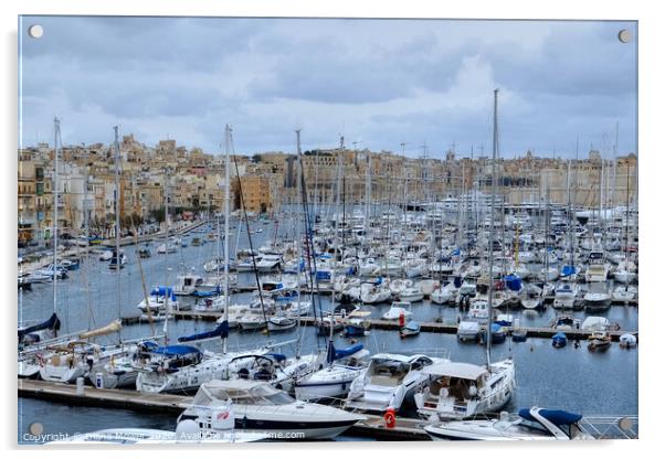 Valletta Harbour Marina Malta Acrylic by Diana Mower