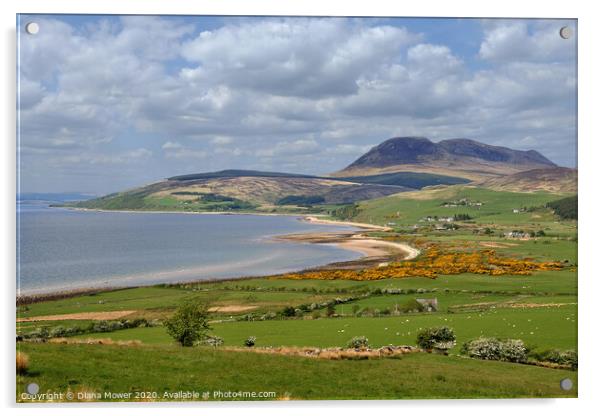 The Isle of Arran Springtime Acrylic by Diana Mower