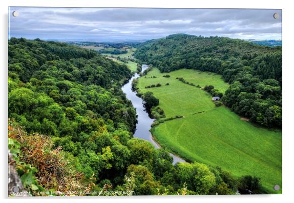The River Wye at Symonds Yat Gloucestershire Acrylic by Diana Mower