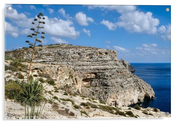 The Blue Grotto on the island of Malta  Acrylic by Diana Mower