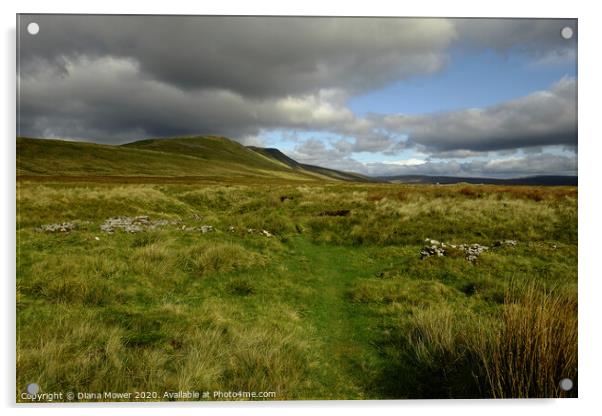 Yorkshire Dales Whernside  Landscape Acrylic by Diana Mower