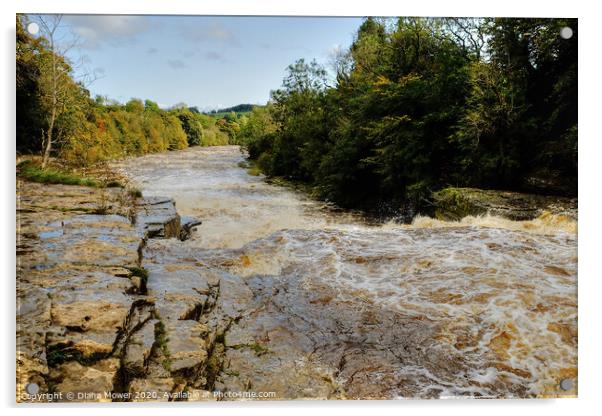 Aysgarth Lower Falls in flood Acrylic by Diana Mower