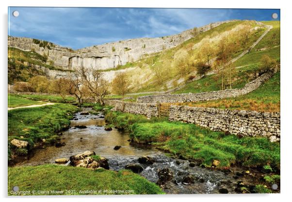 Malham Cove and Beck Yorkshire Dales Acrylic by Diana Mower