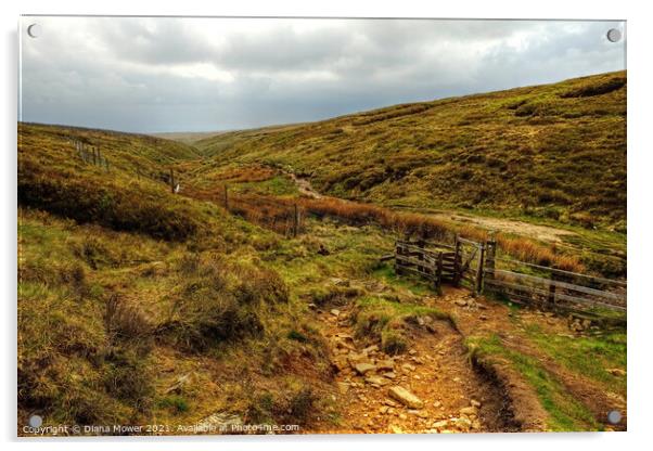 Footpath to Pendle Hill Summit  Acrylic by Diana Mower