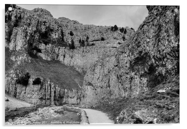 Gordale Scar and beck Yorkshire Dales Black and Wh Acrylic by Diana Mower