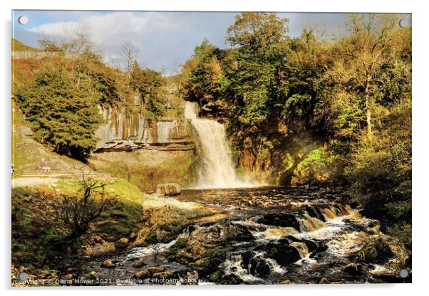 Thornton Force on the river Twiss Ingleton Acrylic by Diana Mower