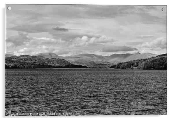 Windermere Fairfield Horseshoe Monochrome Acrylic by Diana Mower