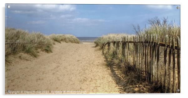 The path to the beach  at Mablethorpe Acrylic by Diana Mower