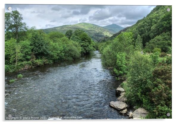 River Glaslyn Beddgelert Snowdonia Acrylic by Diana Mower